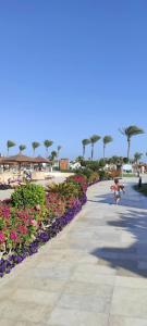 Sunrise Tucana Resort -Grand Select - 67