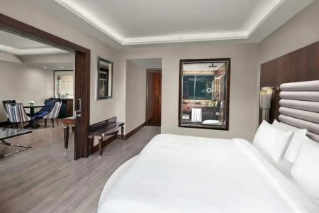 DoubleTree by Hilton Istanbul Esentepe - 79