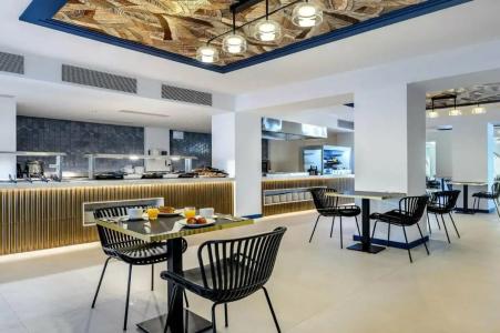 Vibra Palma Cactus - 94