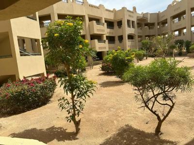 Coral Sea Waterworld Sharm El Sheikh - 68