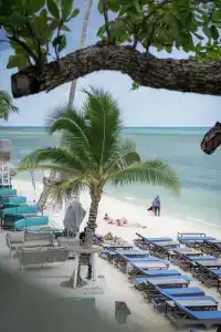 Arkbar Beach Club - 11