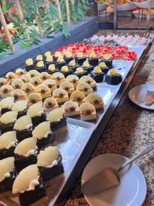 Lykia Botanika Beach Fun & Club - All Inclusive - 84