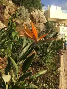 Iberostar Herceg Novi - 9