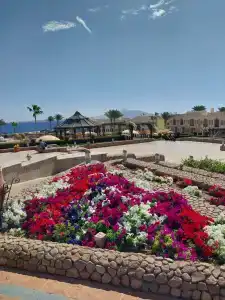 Charmillion Club Resort - 33