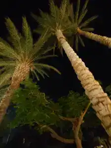 Lido Sharm Naama Bay - 70