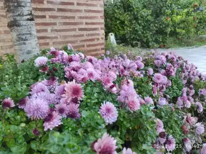 Limak Arcadia Sport Resort Belek - 55