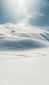 Polat Palandöken - 38