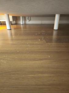 Alaiye Kleopatra - 84