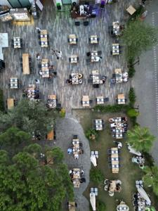 Assos Barbarossa - Special Category - 37