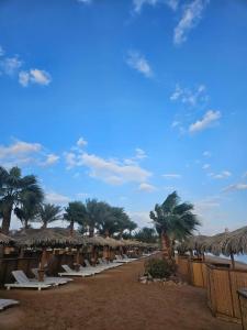 Swiss Inn Resort Dahab - 97
