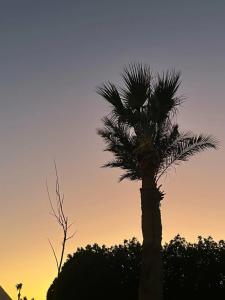 Blend Club Aqua Resort - 66