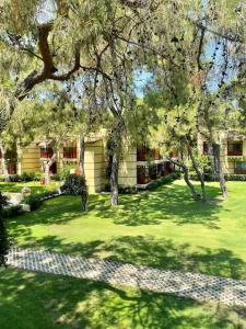 ROBINSON CAMYUVA - Adults only - 98