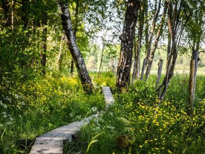 Radisson Blu Espoo - 38