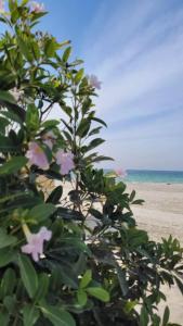 Citymax Sharjah - 13