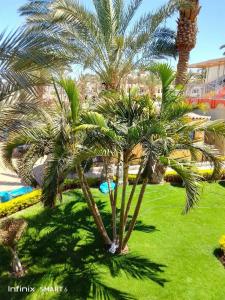 Sand Beach Resort - 71