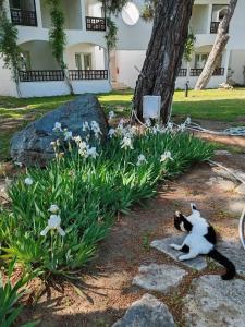 Emelda Sun Club - 67