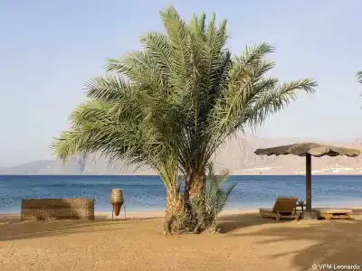 Dahab Lagoon Club & Resort Ex Tirana Dahab - 49