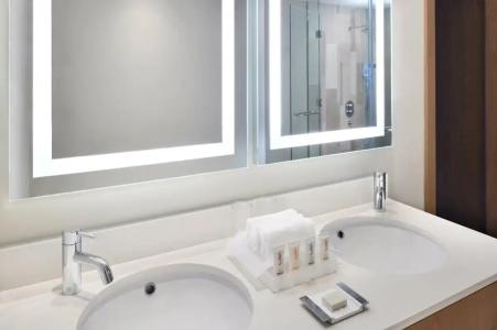 Holiday Inn & Suites - Dubai Festival City Mall, an IHG - 82