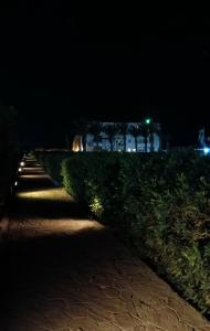 Viva Blue Resort and Diving Sharm El Naga (Adults Only) - 55
