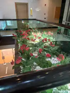 Blue Bay Platinum - 100