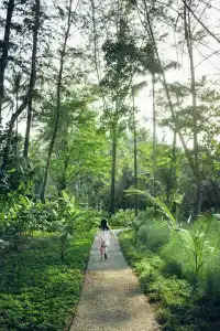 Avani Plus Khao Lak Resort - 85