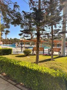 Palm Beach Resort Families and Couples only - 28