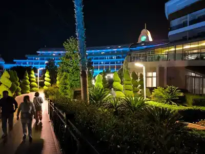 Tuı Magic Life Jacaranda - 79