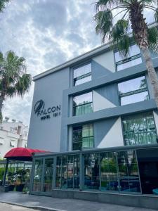 Falcon 1511 - 21