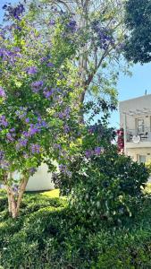 Mandarin Resort & Spa - 53