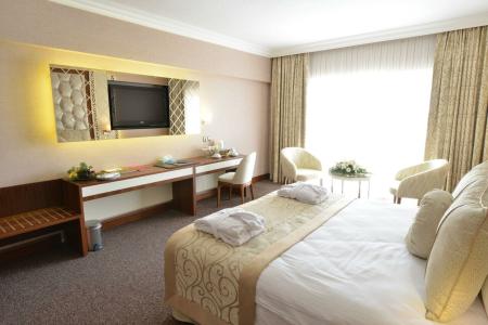 Anadolus Esenboga Thermal - 90