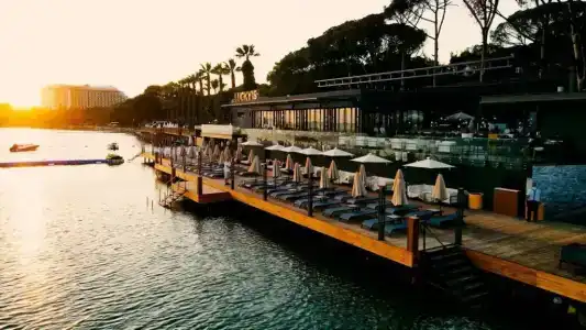 Unique Life Style - 77