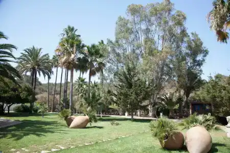 Grupotel Club Cala Marsal - New Reopening 2025 - 31