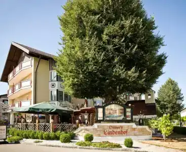 Ortner's Resort - 15