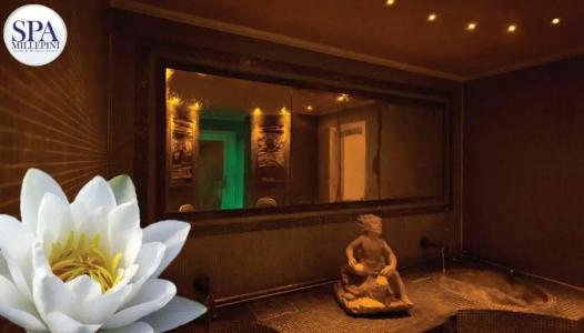 Terme Millepini - 39