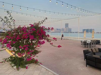 Al Bustan - 22