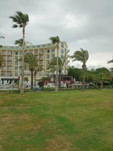 Selectum Family Comfort Side - 29