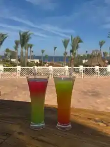 Parrotel Beach Resort - 67