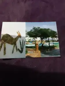 Gafy Resort Aqua Park - 65