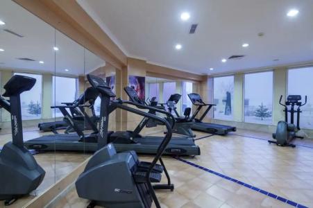 Palan Ski & Convention Resort - 99