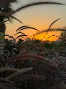 Liberty Fabay - Ultra All Inclusive - 51