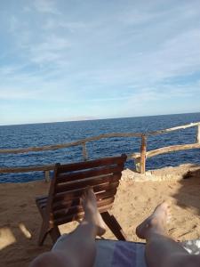 Sharm Reef Resort - 89