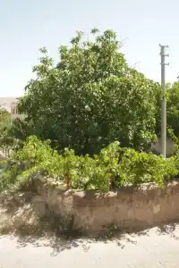 Emre's Stone House - 19