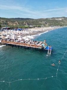 Assos Barbarossa - Special Category - 10