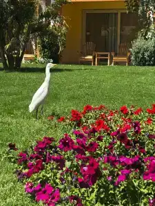 Caribbean World Resort Soma Bay - 84