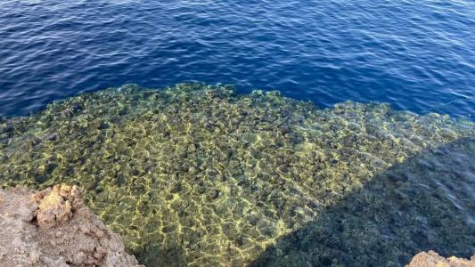 Sharm Reef Resort - 29