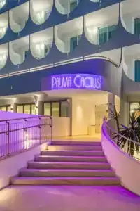 Vibra Palma Cactus - 1