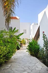 Akti Beach & Village Resort - 79