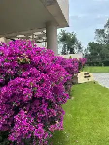 Kaya Palazzo Golf Resort - 42