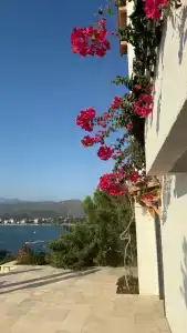 Ece Sovalye Island - 54