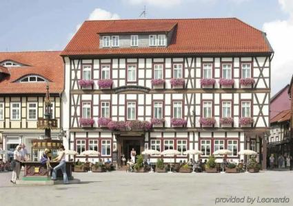 RingWeißer Hirsch